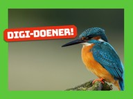 Digi-doener: Duurzaam design 5 | Spieken bij de natuur