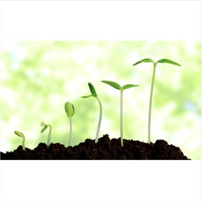 How young plants are alike and unlike their parents