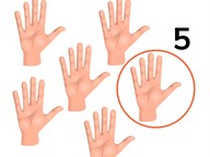 Skip counting in 5s to 50