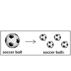 Form plural nouns orally with /s/ and /es/