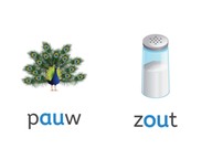Woorden met ~au~ of ~ou~ II