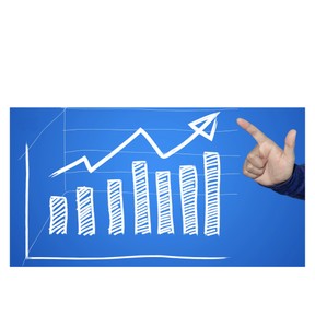 Claims supported by reasons/evidence and claims that are not