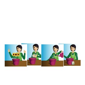 Sequence Stories