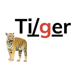 Decode two-syllable words with long vowels