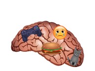Learning about mindfulness (3-5)