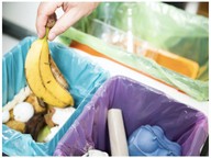 Composting