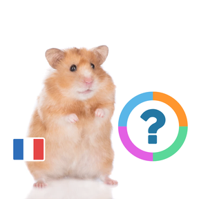 Klassenquiz: Frans - De dieren