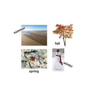 Four seasons