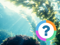 Klassenquiz: Natuur - Oceanen