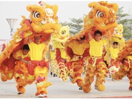 Lunar New Year