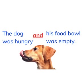 Coordinating and subordinating conjunctions