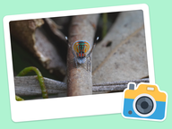 Foto van de dag: Flora & Fauna #002