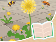 Leestekst Lente - Onkruid bestaat niet