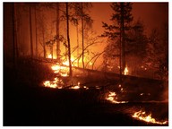 Wildfires