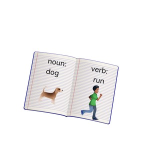Function of nouns and verbs in sentences