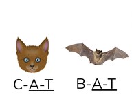 Spell words with common spelling patterns 