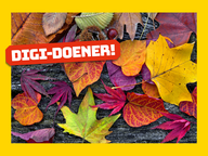 Digi-doener: Herfstschatten