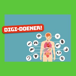 Digi-doener: Mens & natuur 4 | De mens van top tot teen