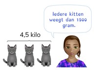 Rekenen met verhoudingen, breuken en percentages via omrekenen met gewicht