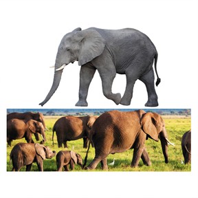 Similarities and differences between two texts