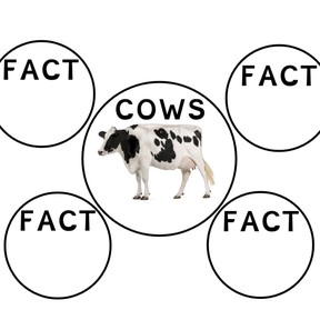 Writing facts for informative writing