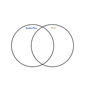 Understand comparisons