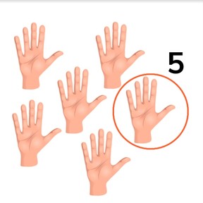 Skip counting in 5s to 50