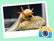 Foto van de dag: Flora & Fauna #008