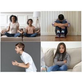 Introducción a la salud mental (K-2)