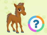 Klassenquiz: Lente - Jonge dieren