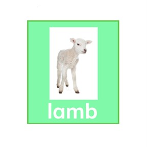 Silent Letters: gn, mb, kn, wr
