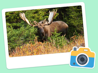 Foto van de dag: Flora & Fauna #021