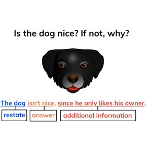 Respond to prompts with a variety of sentence types