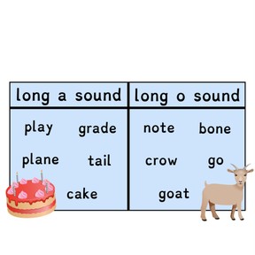 Sorting into categories