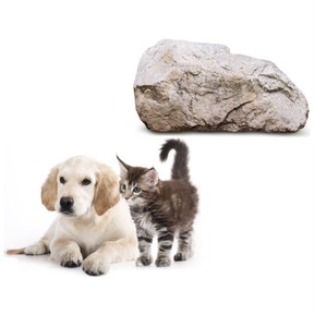 Living and nonliving things