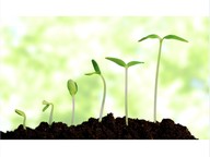 How young plants are alike and unlike their parents
