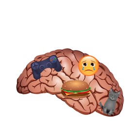 Learning about mindfulness (3-5)