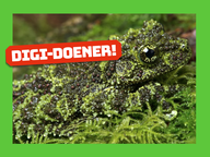 Digi-doener: Mimicry camouflage