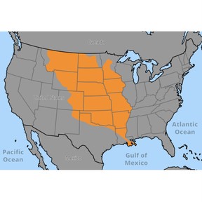 Louisiana Purchase