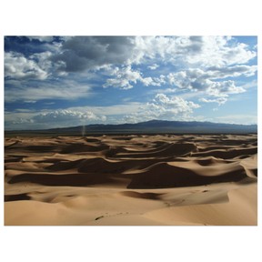 Desert habitats