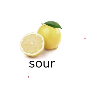 Real-life connections between words and their use