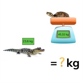 Optellen met kommagetallen met 1 en 2 decimalen