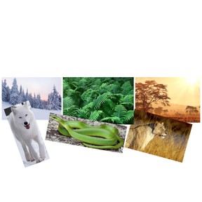 Traits best suited for an environment
