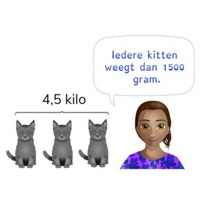Rekenen met verhoudingen, breuken en percentages via omrekenen met gewicht