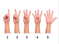 Counting on Hands
