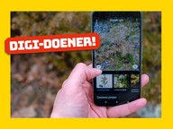 Digi-doener: Zoek het plaatje!
