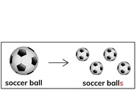 Form plural nouns orally with /s/ and /es/