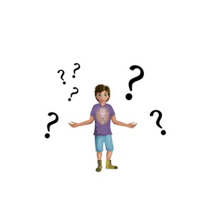 Thick and thin questions