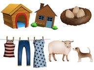 Comparing needs of plants & animals to the needs of humans