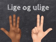 Lige og ulige